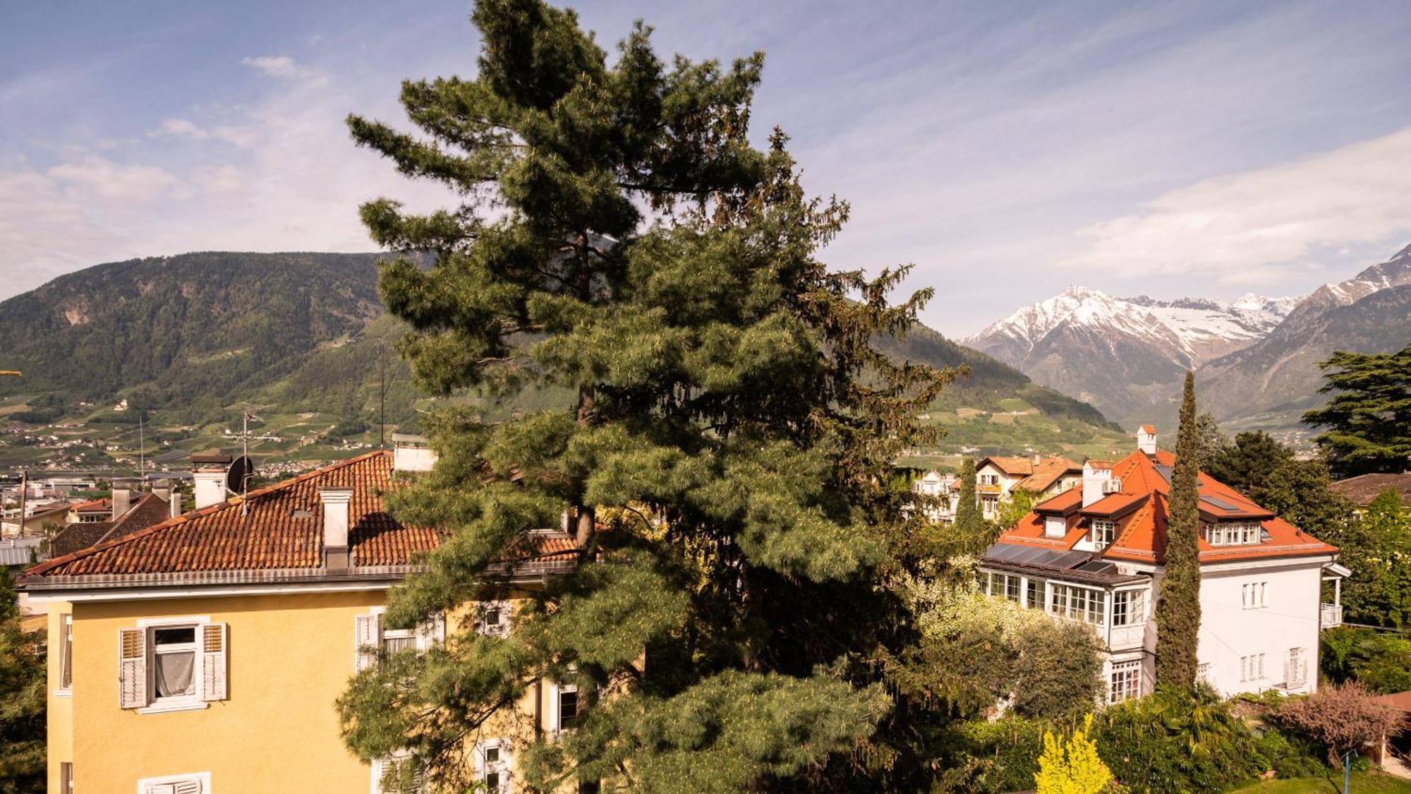 Villa Laurus Merano Esterno foto